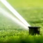 keep your lawn well-hydrated