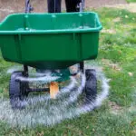 Lawn Fertilization Problems in Nampa, spring grass fertilizer