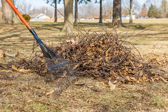 comprehensive lawn services in Idaho, Fall and Spring Yard Cleanup