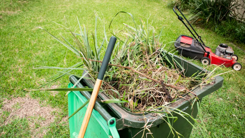Topnotch Yard Cleanup Services
