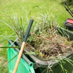 Topnotch Yard Cleanup Services