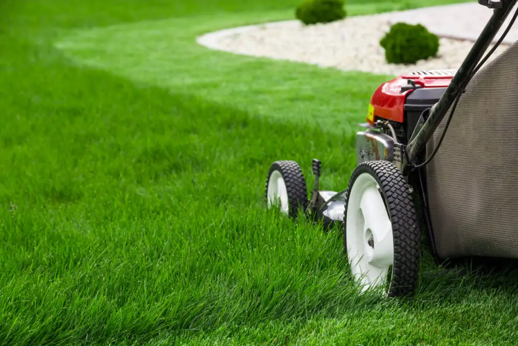 best lawn care, lawn care services in Idaho, Lawn Care Services in Caldwell