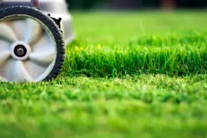 Lawn Mowing Services in Caldwell