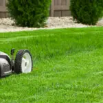 Lawn Mowing Services in Caldwell