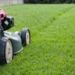 routine lawn mowing