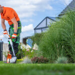 Lawn Care Services in Meridian, Idaho: 10 Essential Tips