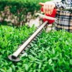 Unveil the Best Lawn Care Services in Eagle, Idaho