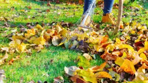 yard cleanup in Idaho, Topnotch Yard Cleanup in Idaho