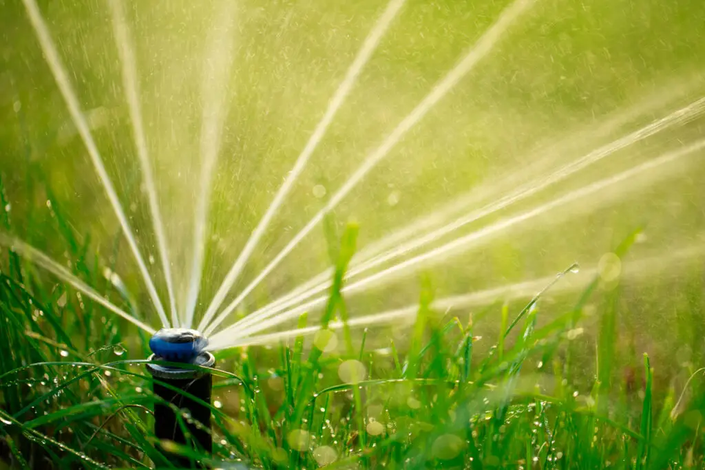 Sprinkler Blowout Services in Idaho