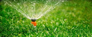 Exceptional Lawn Care Services in Eagle 