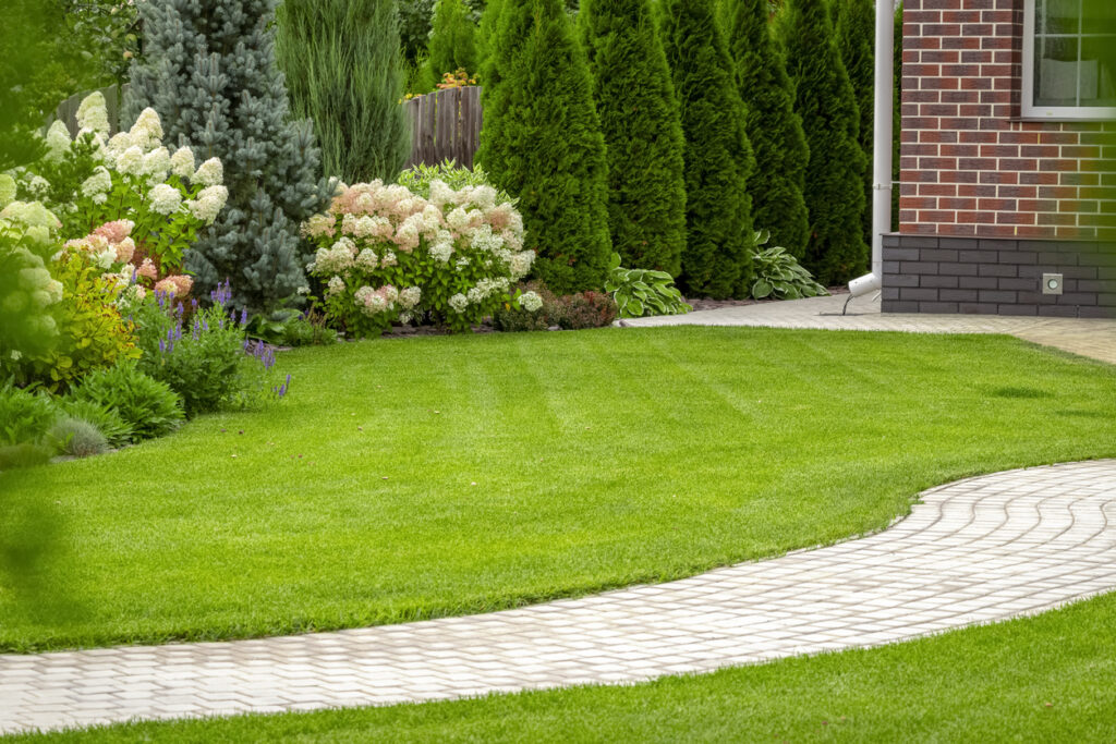 Exceptional Lawn Care Services in Eagle