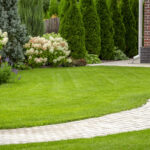 Exceptional Lawn Care Services in Eagle