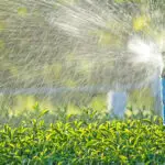 Sprinkler Blowouts Near Me: Top 10 FAQs Answered