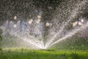 Sprinkler Blowout Company in Nampa