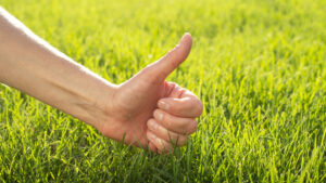 Lawn Fertilization Service Idaho