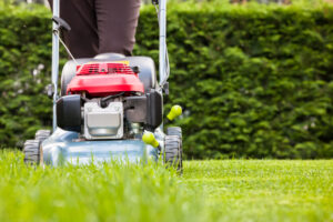 Lawn Fertilization Service Idaho